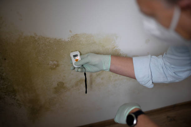Mold Removal and Inspection in Shorewood Hills, WI